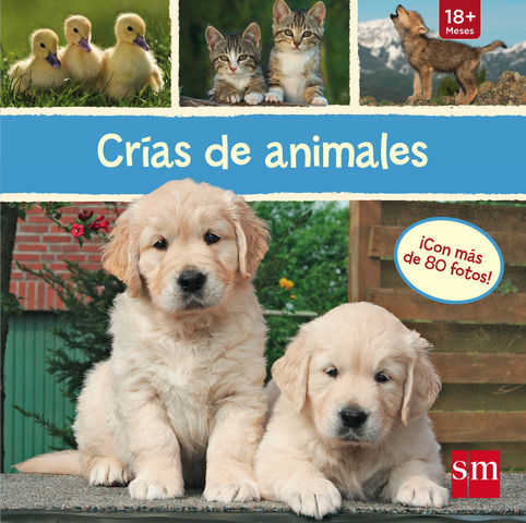 LC.CRIAS DE ANIMALES